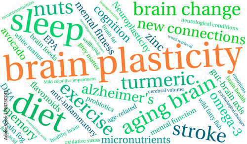 Brain Plasticity Word Cloud