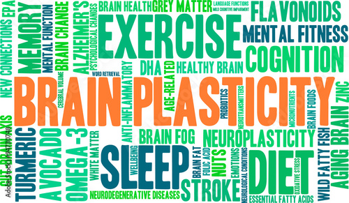 Brain Plasticity Word Cloud