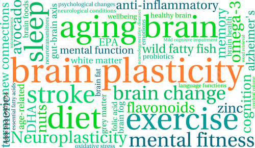 Brain Plasticity Word Cloud