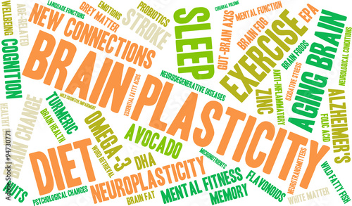 Brain Plasticity Word Cloud