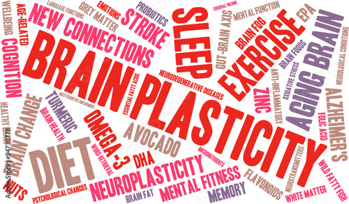 Brain Plasticity Word Cloud
