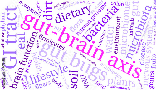 Gut-Brain Axis Word Cloud