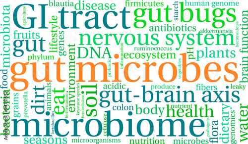 Gut Microbes Word Cloud