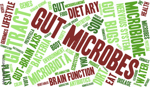 Gut Microbes Word Cloud