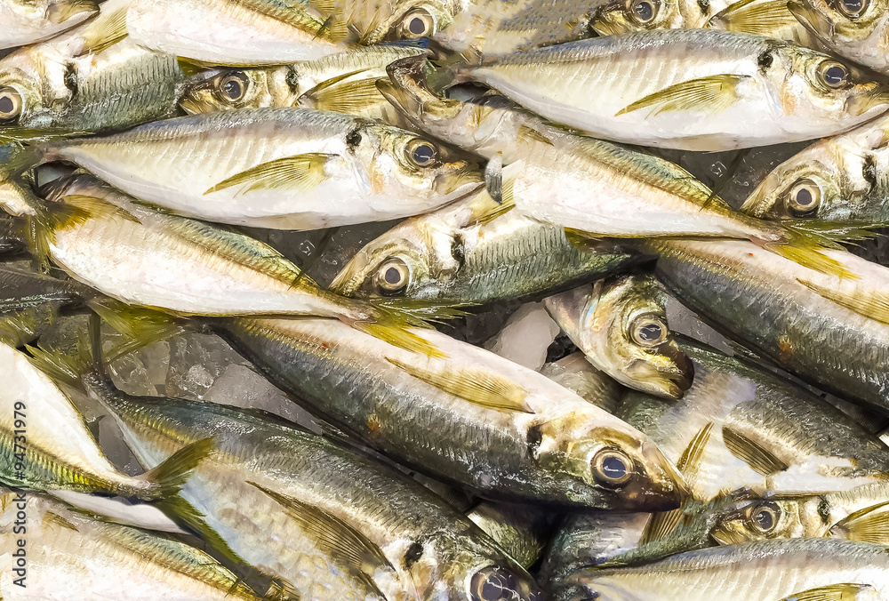 Japanese AJI(Fish) Japanese AJI(Fish)