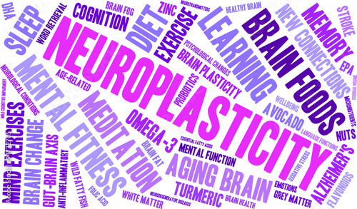 Neuroplasticity Word Cloud