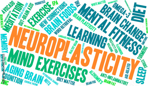 Neuroplasticity Word Cloud