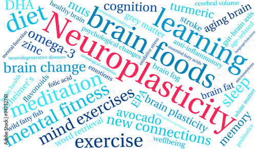 Neuroplasticity Word Cloud
