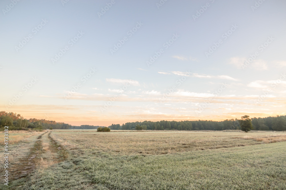 Fototapeta premium blue sky
