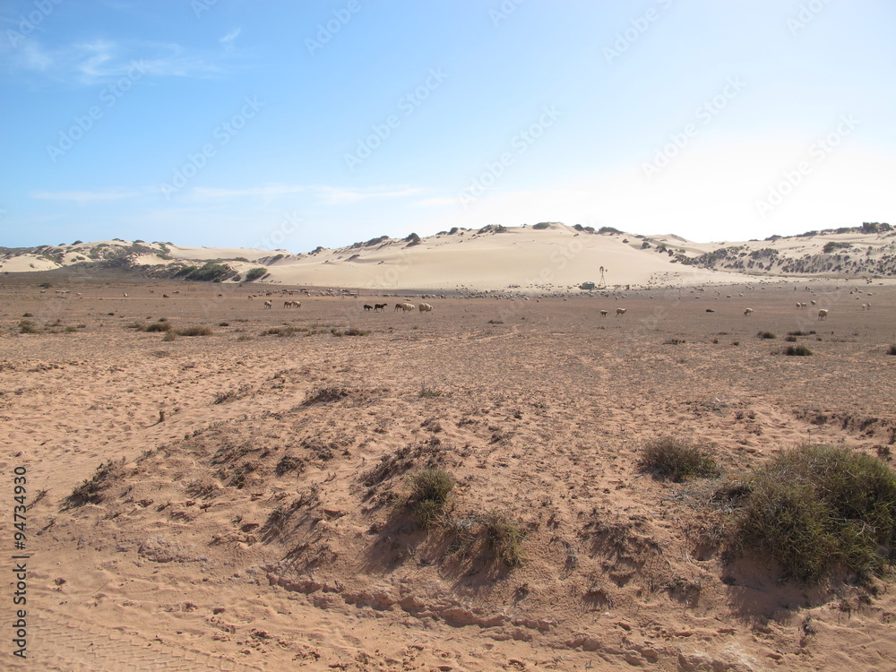 Gnaraloo Station, Western Australia