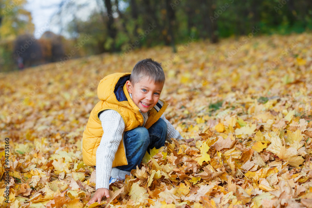 Adorable boy in autumn park Adorable boy in autumn park