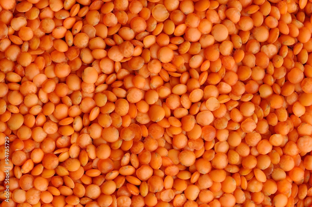 Whole raw red lentils pattern Whole raw red lentils pattern