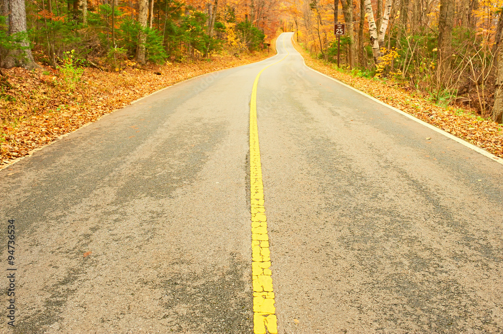 Fototapeta premium Autumn scene with road