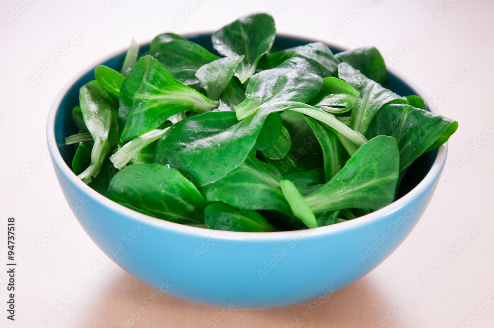 Corn salad / lamb's lettuce in blue ceramic bowl Corn salad / lamb's lettuce in blue ceramic bowl