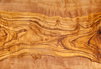 Olive tree wood  texture