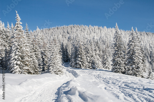 Droga przez zasypany śniegiem las w górach