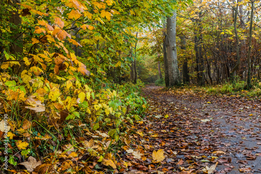 geisterwald geisterwald