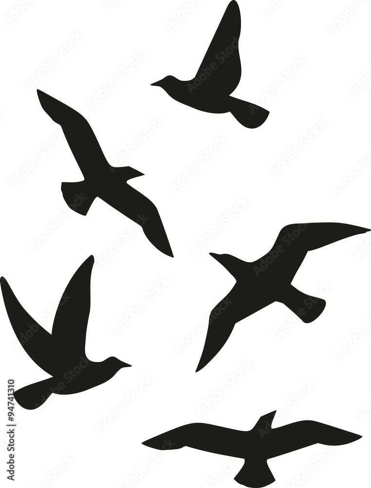 Flock of five birds Flock of five birds