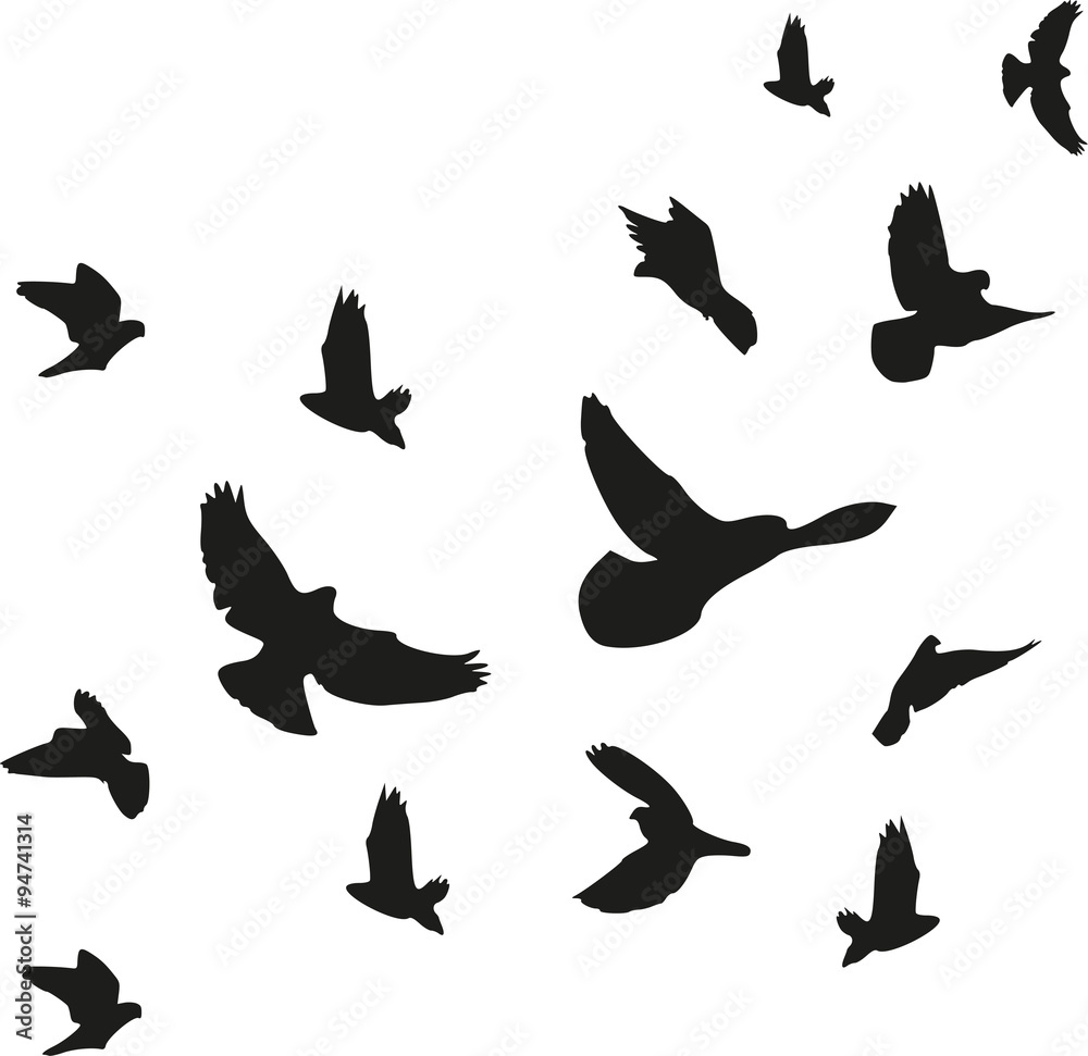 Background of flying birds flock