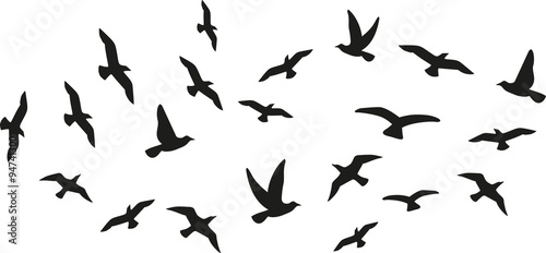 Valokuva Flock of flying birds