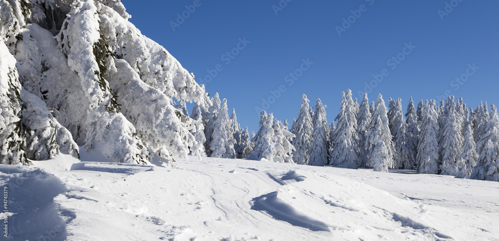 PANORAMA NATURE NEIGE