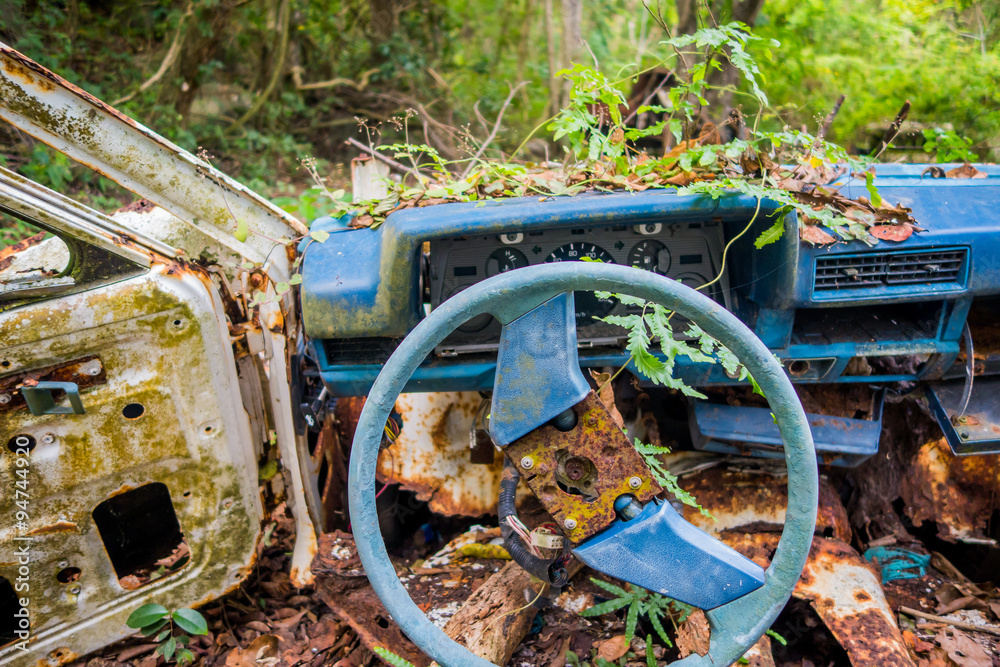 Abandoned car in the jungle