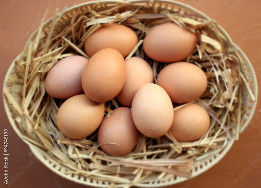 Healthy organic egg in one basket raw material Healthy organic egg in one basket raw material