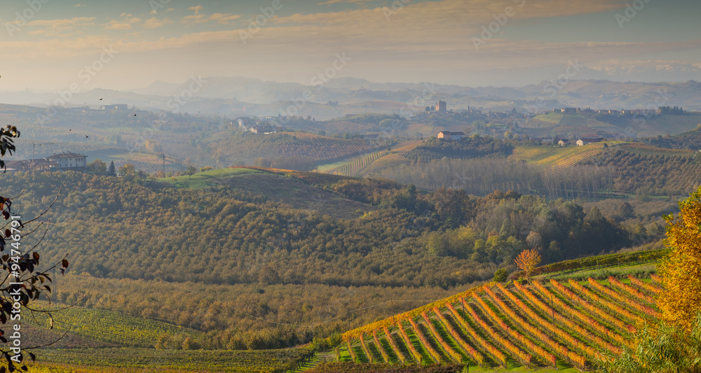 Landscape of Langhe vineyard in autumn