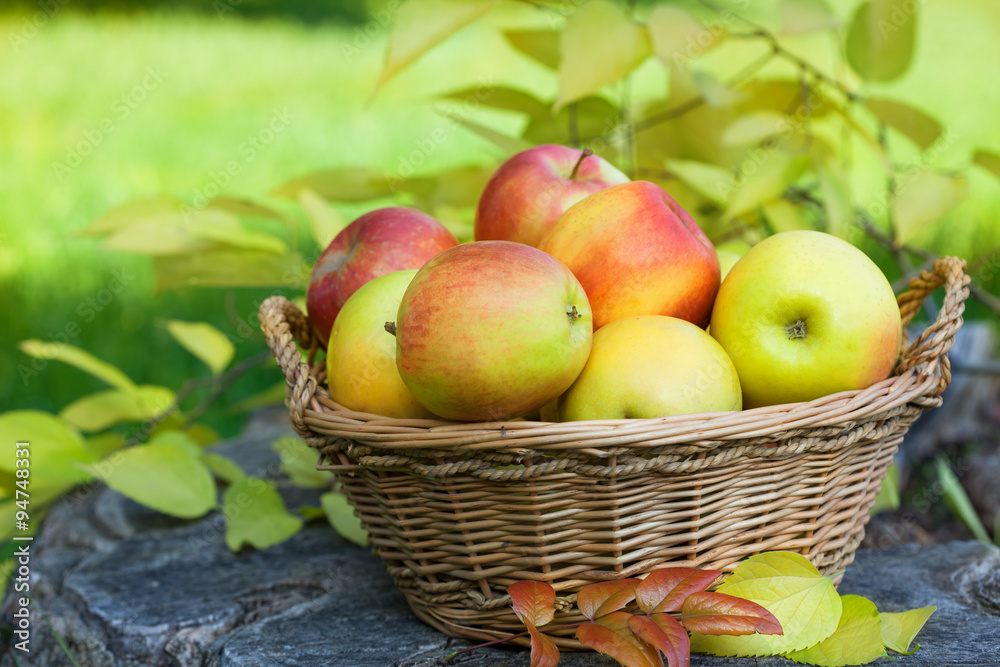 Apples in the wicker basket