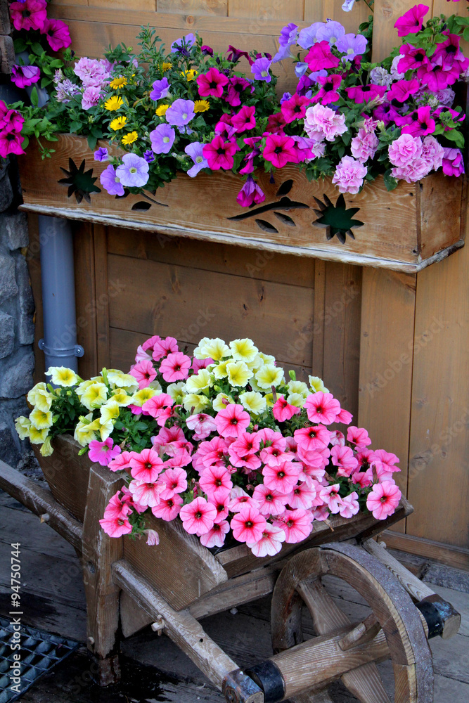 fioriera e carriola fiorita Stock Photo | Adobe Stock