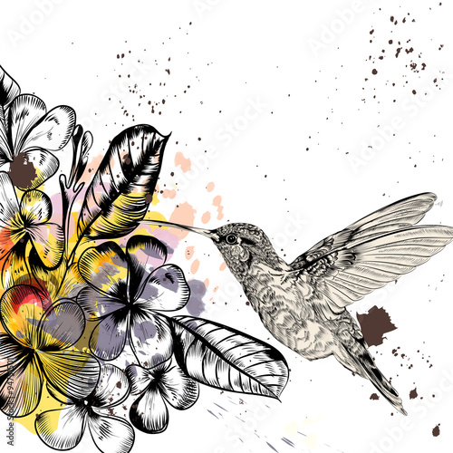 Background with tropical flowers and hummingbird