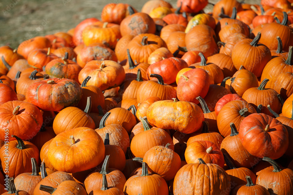 Pile of small pumpkins at the Farmers market. Pile of small pumpkins at the Farmers market.