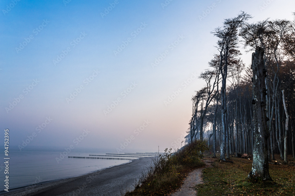 Geisterwald Geisterwald