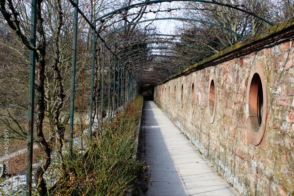 Fototapeta premium Fahrrad versenkt
