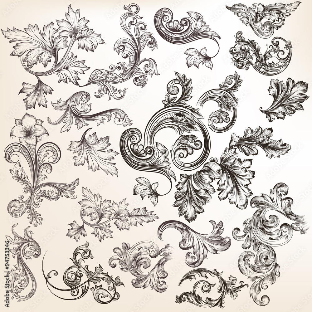 Vector set of floral elements for design. Calligraphic vector