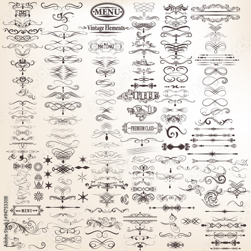 Vector set of calligraphic elements for design. Calligraphic vec