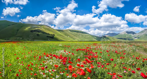 Idyllic Piano Grande summer landscape, Umbria, Italy