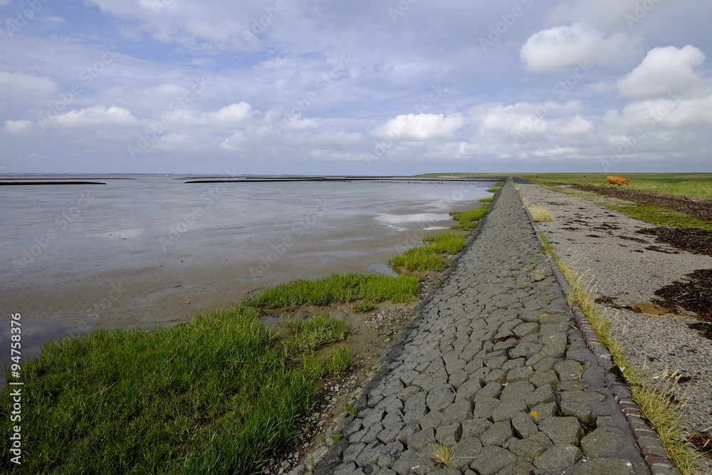 Zwischen Deich und Watt im Nationalpark Niedersächsisches Watte