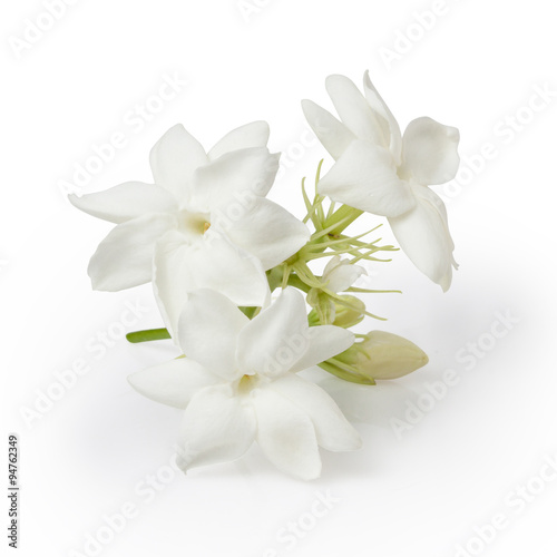 Jasmine Flower Isolated on White Background © M88