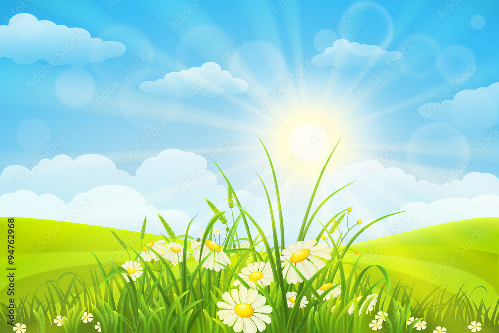 Fototapeta premium Nature meadow background with flowers, grass, sky and sun