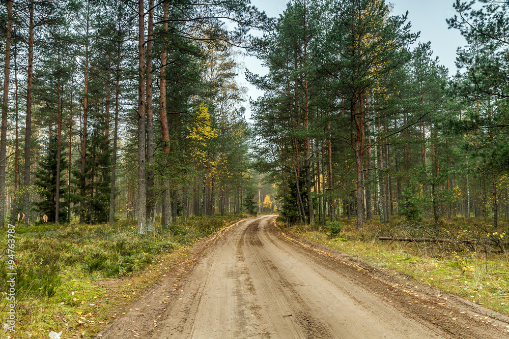 Fototapeta premium gravel path
