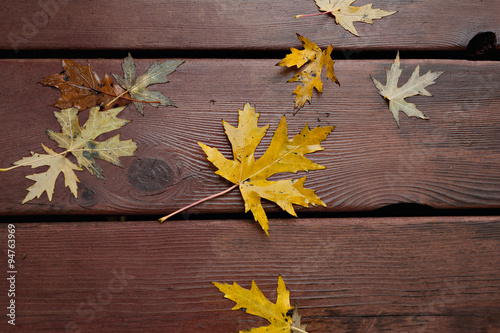Wet autumn leaves stuck on a wet porch.