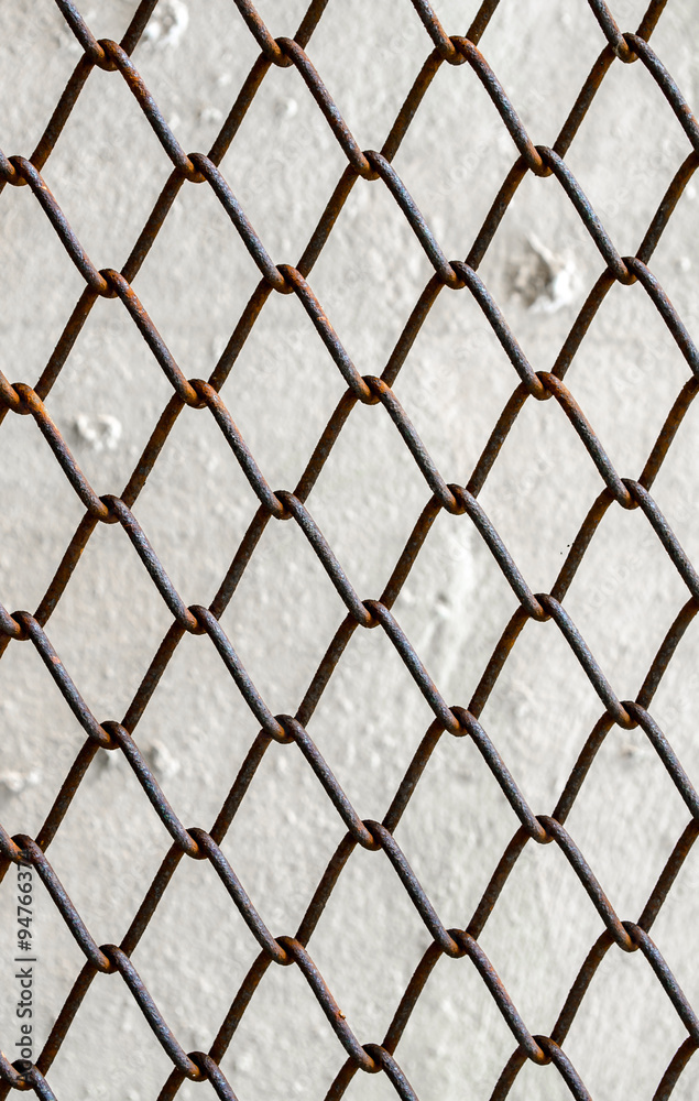 Fototapeta premium Chain Link Fence