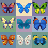 Set of colorful butterflies for design. Vector illustration.