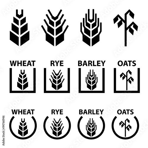 vector wheat rye barley oat cereal spike ears symbols