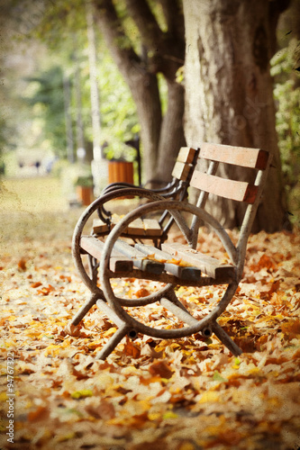 Wooden bench in autumn park © erika8213