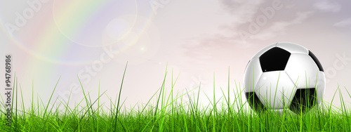 Conceptual 3D soccer ball in field grass with a rainbow sky banner