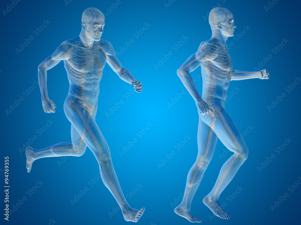 Conceptual man or human 3D anatomy or body on blue Conceptual man or human 3D anatomy or body on blue