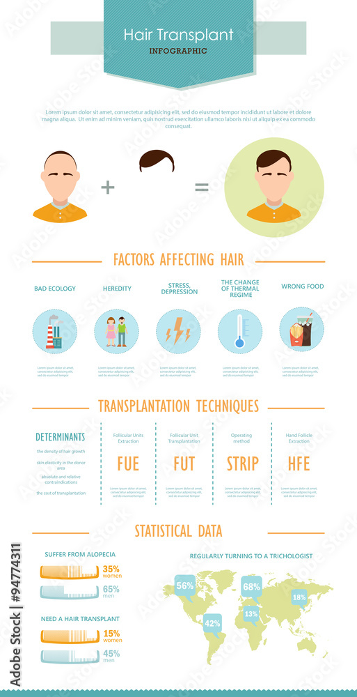Hair infographic about the problem of hair loss. Vector template with simple data, easy editable. Colorful illustration in flat style.