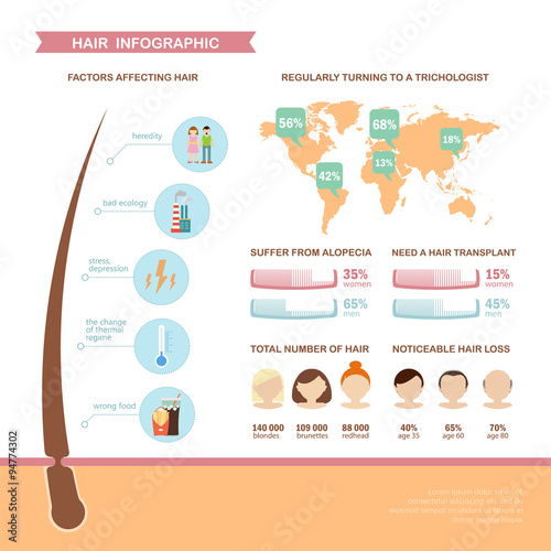 Colorful hair infographic about the problem of hair loss. Template with simple data, easy editable. Vector illustration in flat style.